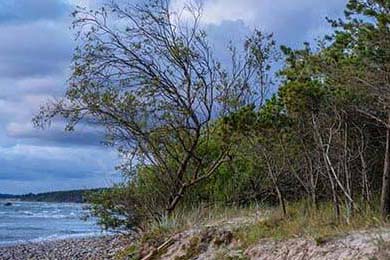 EDG选手比赛录像分析分享，edg选手比赛录像分析分享