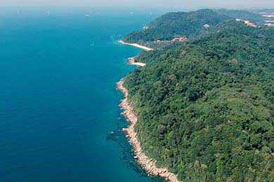 CNN头条：冬奥最具冲击力球队——来自西非的雄狮，冬奥会非洲选手